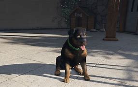 Image result for Chop GTA 5