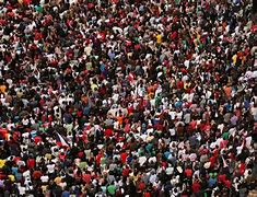 Image result for Feeling the Crowd