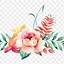 Image result for Elegant Floral Border Clip Art