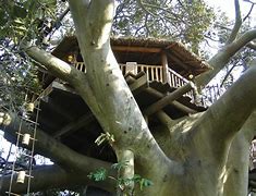 Image result for Swiss Family Robinson Treehouse Disney