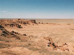 Image result for Gobi Dinosaur Eggs