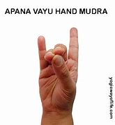 Image result for Apana Vayu