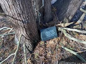 Image result for Reffitt Nature Preserve