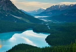 Image result for Peyto Lake Banff National Park