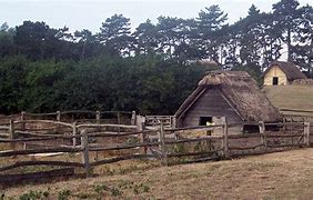 Image result for Anglo-Saxon Farm