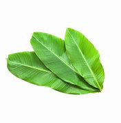 Image result for Ades Fresh Leaves