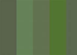 Image result for Drab Green