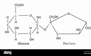 Image result for What Is Sucrose