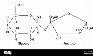 Image result for sucrose structure