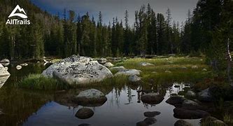 Image result for Wisdom Montana