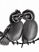 Image result for 2 Birds Flying Drawing