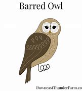 Image result for Barred Owl Gifts