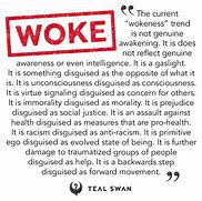 Image result for Woke Pins