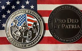 Image result for Nor Force Challenge Coin