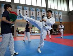 Image result for South Korean Taekwondo