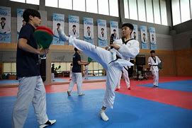 Image result for South Korea Taekwondo