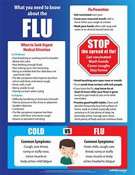 Image result for Flu Virus Poster