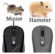 Image result for Please Mouse Meme