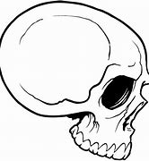 Image result for 3 4. Profile Skull Drawing