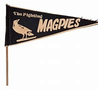 Image result for Collingwood Pennants