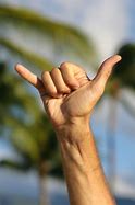 Image result for Shaka Sign