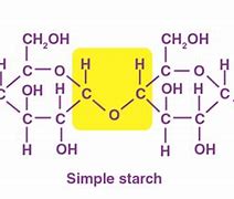 Image result for SPAC Starch Organisation Structure