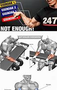 Image result for Forearm Workout Names