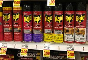 Image result for Raid Ant Spray