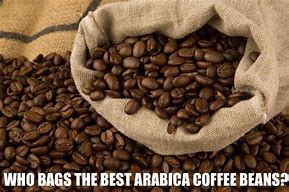 Image result for Arabica Coffee Beans Top View