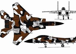 Image result for F-15 Eagle Camo