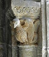 Image result for Gargoyle Bird