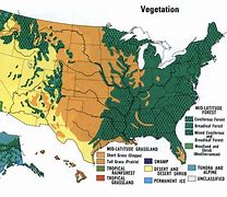 Image result for United States Vegetation Map