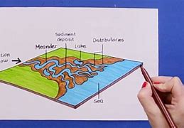 Image result for Delta Diagram in Science