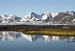 Image result for Russian Tundra Biome