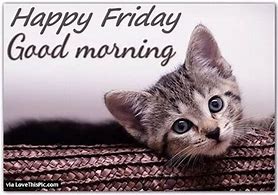 Image result for Happy Friday Cute Animals