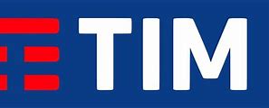 Image result for Tim Tam Logo Black and White