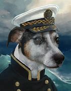 Image result for Captain Doge