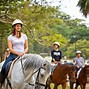 Image result for Beginner Horse Riding