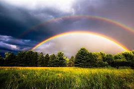 Image result for Did You Know Rainbow