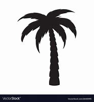 Image result for Palm Tree Plant