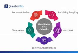 Image result for Quantitative Analysis of Survey Data