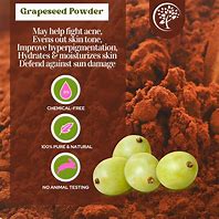 Image result for Grape Seed Lil