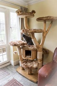 Image result for Wood Cat Tree