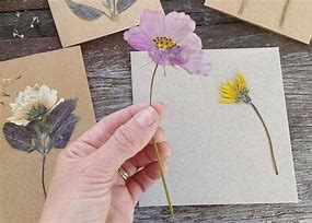 Image result for Pressed Flower Cards