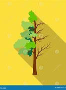 Image result for Dry and Green Tree