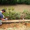 Image result for Railroad Tie Garden Bed