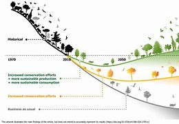 Image result for Biodiversity Diagram