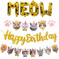 Image result for Catman Birthday