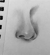 Image result for Shaded Nose Drawing