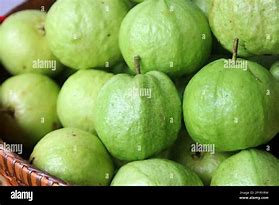 Image result for Guava Fruit Pile